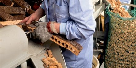 production of natural wine corks